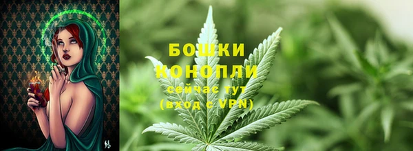 сатива Горно-Алтайск