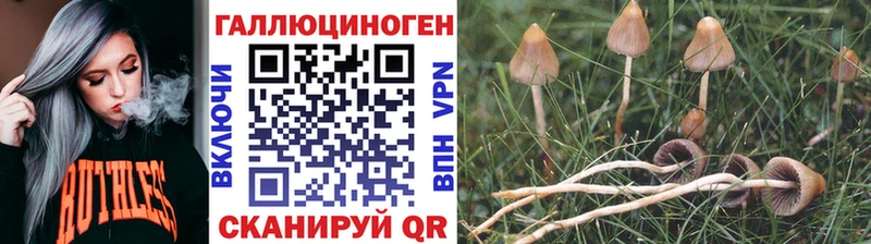 сколько стоит  Жуковка  Галлюциногенные грибы Magic Shrooms 