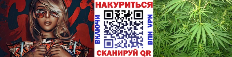 Марихуана индика  Жуковка 